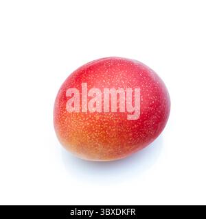 Peruvian Kent mango isolated on a white studio background. Stock Photo