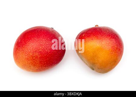 Peruvian Kent mango isolated on a white studio background. Stock Photo