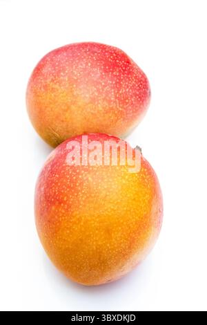 Peruvian Kent mango isolated on a white studio background. Stock Photo