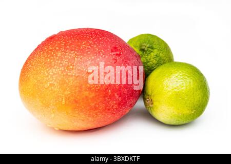 Peruvian Kent mango with limes isolated on a  white studio background. Stock Photo