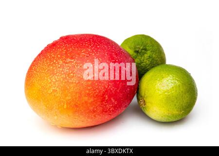 Peruvian Kent mango with limes isolated on a  white studio background. Stock Photo