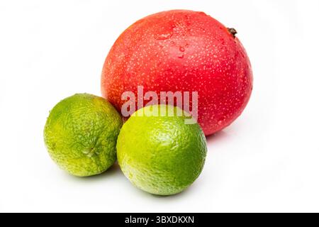 Peruvian Kent mango with limes isolated on a  white studio background. Stock Photo