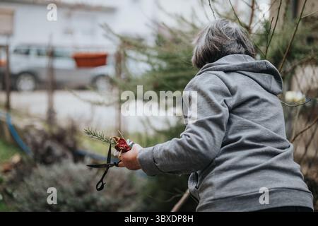 Elderly Woman in Garden with Shears Clipping Branches Stock Photo
