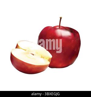 apple slice illustration on white background Vol 01 Stock Vector