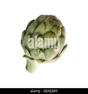 artichoke illustration on white background vol 01 Stock Vector