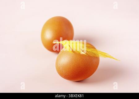 Two chicken eggs and a yellow feather on a beige background with copy space Stock Photo
