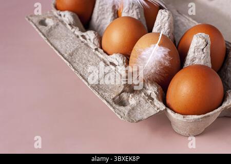 Chicken eggs and feathers lie in a cardboard box on a beige background with copy space Stock Photo
