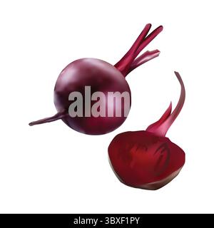 beetroot illustration on white background vol 01 Stock Vector