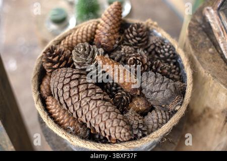 Natural brown spruce cones and pine cones in a wicker basket. View from above. Close up Stock Photo