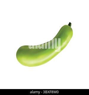 bottle gourd illustration on white background vol 01 Stock Vector