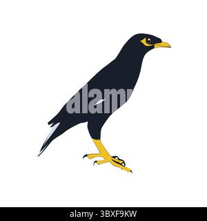 Bully bird illustration vector based on white background vol 01 Stock Vector
