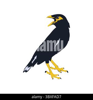 Bully bird illustration vector based on white background vol 03 Stock Vector