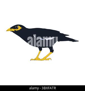 Bully bird illustration vector based on white background vol 06 Stock Vector