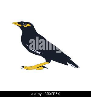 Bully bird illustration vector based on white background vol 07 Stock Vector