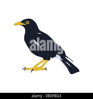 Bully bird illustration vector based on white background vol 07 Stock Vector