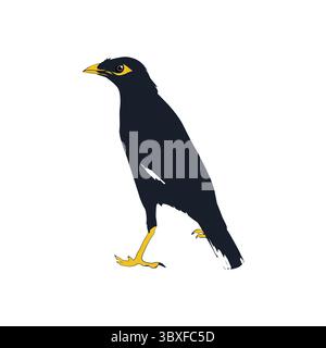 Bully bird illustration vector based on white background vol 08 Stock Vector