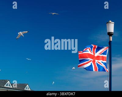 The Union flag flying against a deep blue sky with gulls flying around Stock Photo