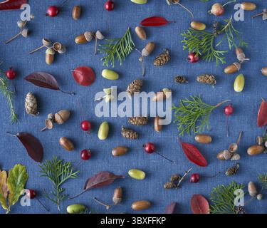 Autumn background of berries, small wild apples, acorns and leaves on bright blue linen textile background. Pattern of natural elements Stock Photo