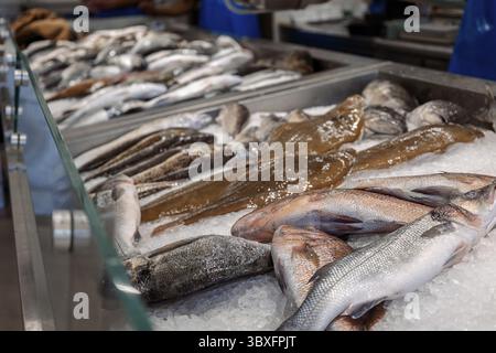 Colorful selection of seafood at fish market in Rhodes, Greece. Stock Photo