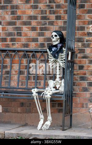 October 23, 2021, Moab, Utah, China: A Halloween pirate skeleton sits on a metal bench in front of house.  Halloween lawn decoration. (Credit Image: © Jon G. Fuller/VW Pics via ZUMA Press Wire) Stock Photo