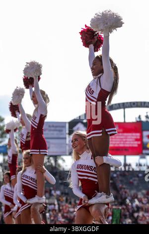 Little Rock, Arkansas, USA. 23 Nov 2013. Razorback kicker Zoch Hocker ...