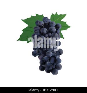 grapes fruit Slice illustration on white background vol 01 Stock Vector
