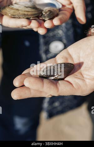 Seashells in hands, close-up. Young carefree couple in love throwing pebbles, shells, stones into sea outdoors. Fun family game together. Stock Photo