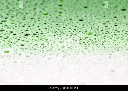 Water droplets on green and white gradient color background. Water droplets concept Stock Photo