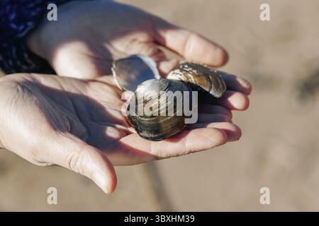 Seashells in hands, close-up. Young carefree couple in love throwing pebbles, shells, stones into sea outdoors. Fun family game together. Stock Photo