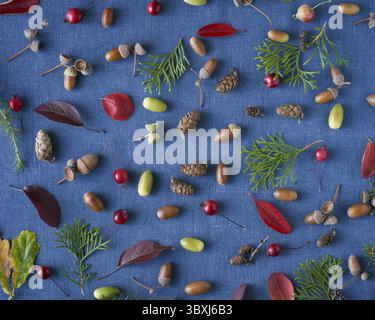 Autumn background of berries, small wild apples, acorns and leaves on bright blue linen textile background. Pattern of natural elements Stock Photo
