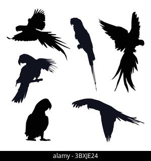 Macaw parrot black silhouette on white background Stock Vector