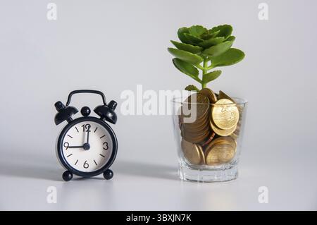 Healthy plant rising from gold. Smart investments leading to prosperity concept Stock Photo