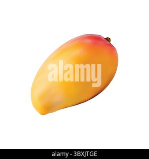 mango illustration on white background vol 01 Stock Vector