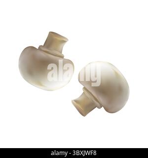 mushroom fruit Slice illustration on white background vol 01 Stock Vector