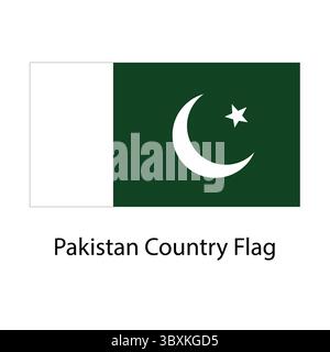 Pakistan Country Flag hand drawing illustration vector-based drawing Stock Vector
