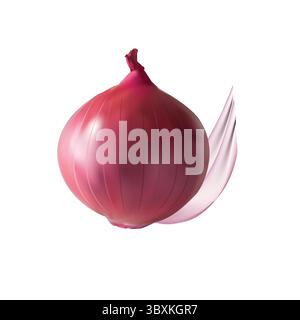 onion illustration vector drawing on white background vol 01 Stock Vector
