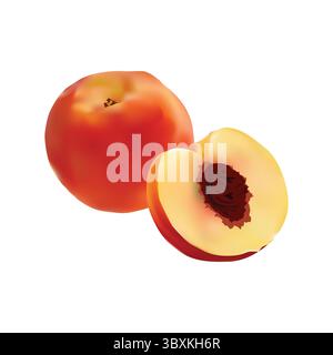 Peaches Stock Illustration vector-based drawing on white background Vol 01 Stock Vector