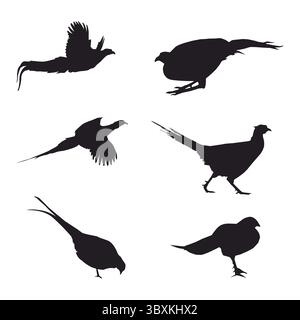 pheasant birds shape black Silhouette of a white Illustration Stock Vector
