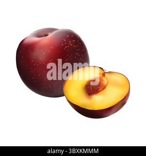 plum slice illustration on white background vol 01 Stock Vector