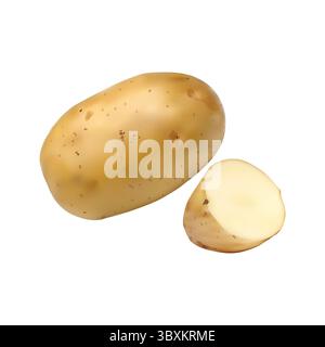 potato illustration on white background vol 01 Stock Vector