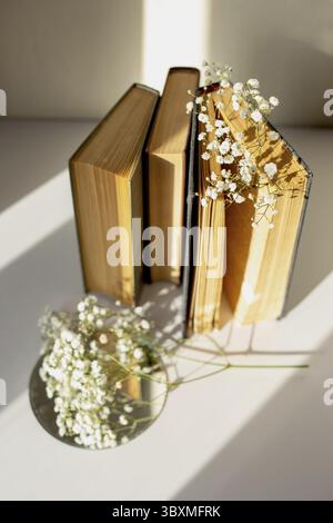 Three old books stand next to white gypsophila flowers on a table in sunlight. Vertical. Top Stock Photo