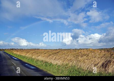 Rainbow over the Sylt landscape Stock Photo