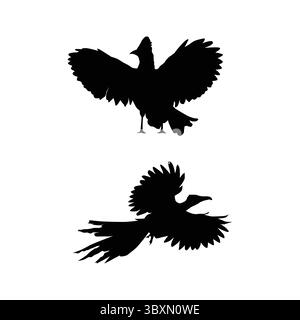 set of Roadrunner Bird black silhouettes illustration on white background vol 03 Stock Vector