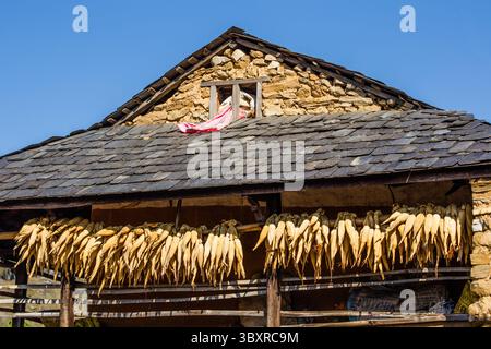 March 31, 2013, Bandipur, Gandaki Province, Nepal: Ears of corn hanging out to dry under the eaves of a traditional farm house in Bandipur, Nepal. (Credit Image: © Jon G. Fuller/VW Pics via ZUMA Press Wire) Stock Photo