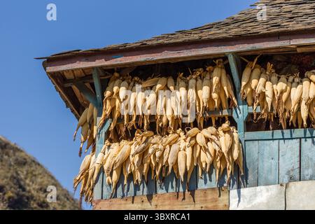 March 31, 2013, Bandipur, Gandaki Province, Nepal: Ears of corn hanging out to dry under the eaves of a traditional farm house in Bandipur, Nepal. (Credit Image: © Jon G. Fuller/VW Pics via ZUMA Press Wire) Stock Photo