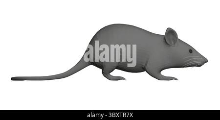 A gray mouse is shown in a white background. The mouse is drawn in a very realistic style, with attention to detail in its fur and features. Concept o Stock Vector