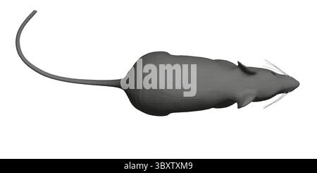 Rat is shown in a black and white illustration. Rat is laying on its side and he is in relaxed state. Illustration is simple and straightforward, with Stock Vector