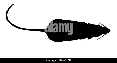 A black and white image of a mouse silhouette. The mouse is laying on its side and has a long tail. Top view Stock Vector