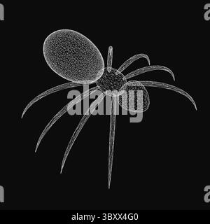 A wireframe spider with intricate details stands out against a black background, featuring eight long legs, a webbed body, large round eyes, and thin Stock Vector