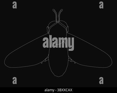 Black and white fly drawing with bold white outline stands out against a dark background. The stark contrast creates a striking, minimalist effect. De Stock Vector
